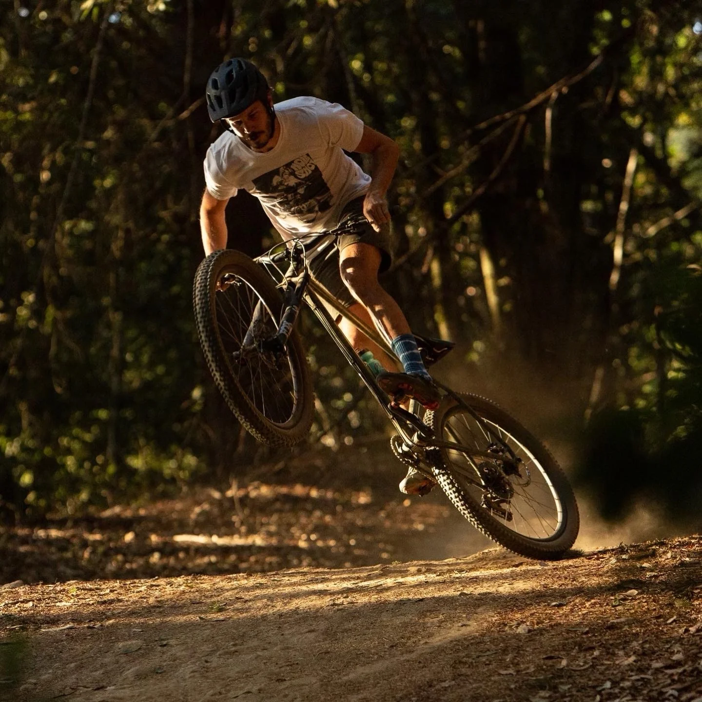 MASH Steel Hardtail Frame - Image 4